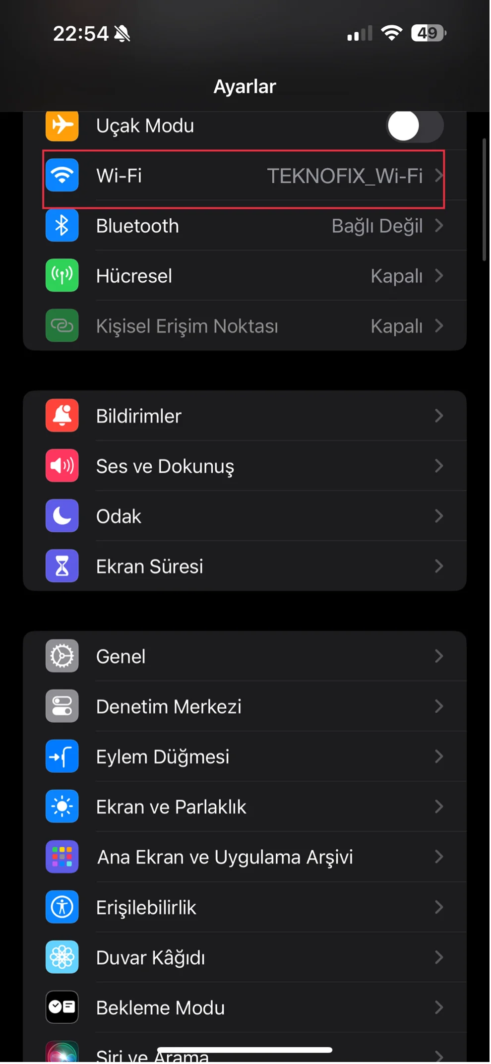 iphone dns değiştirme