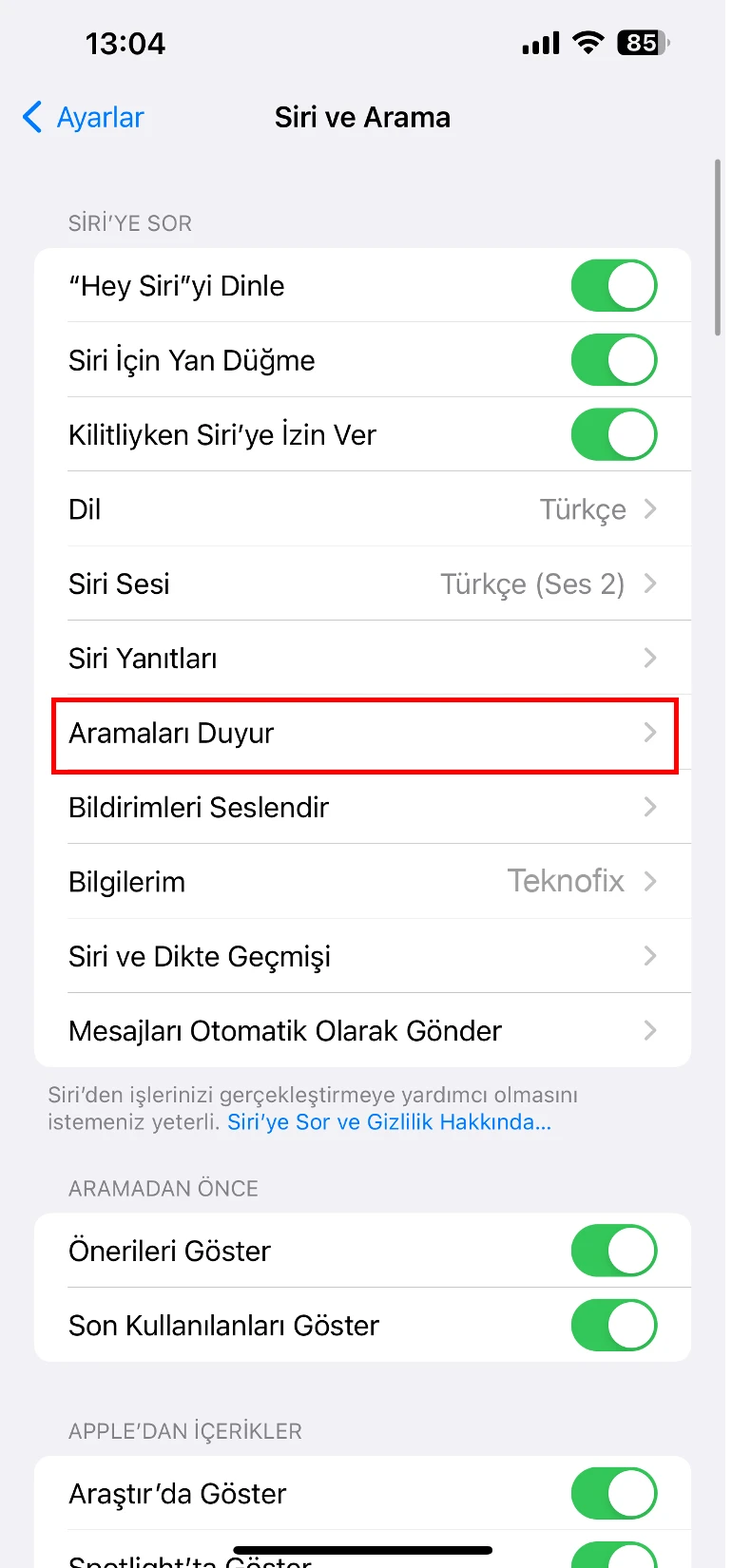 iphone arayanın ismi