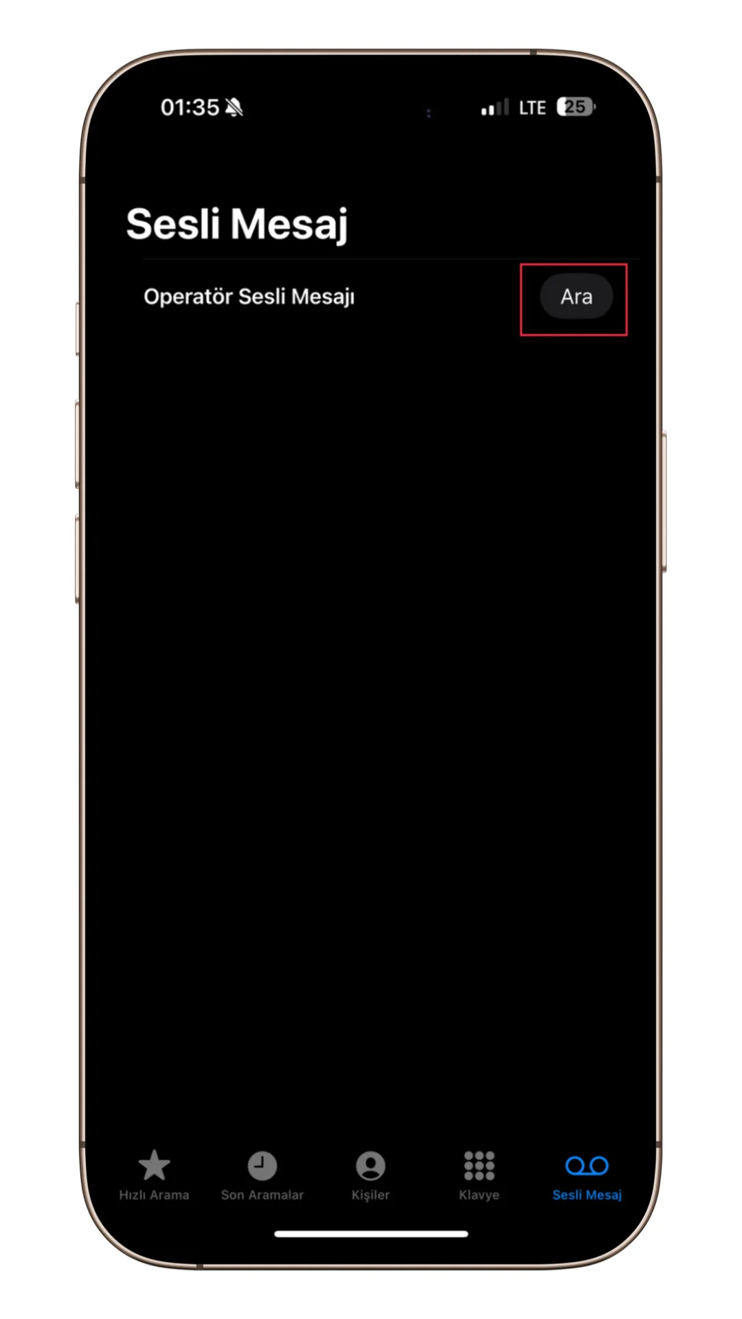 iphone sesli mesajları dinleme