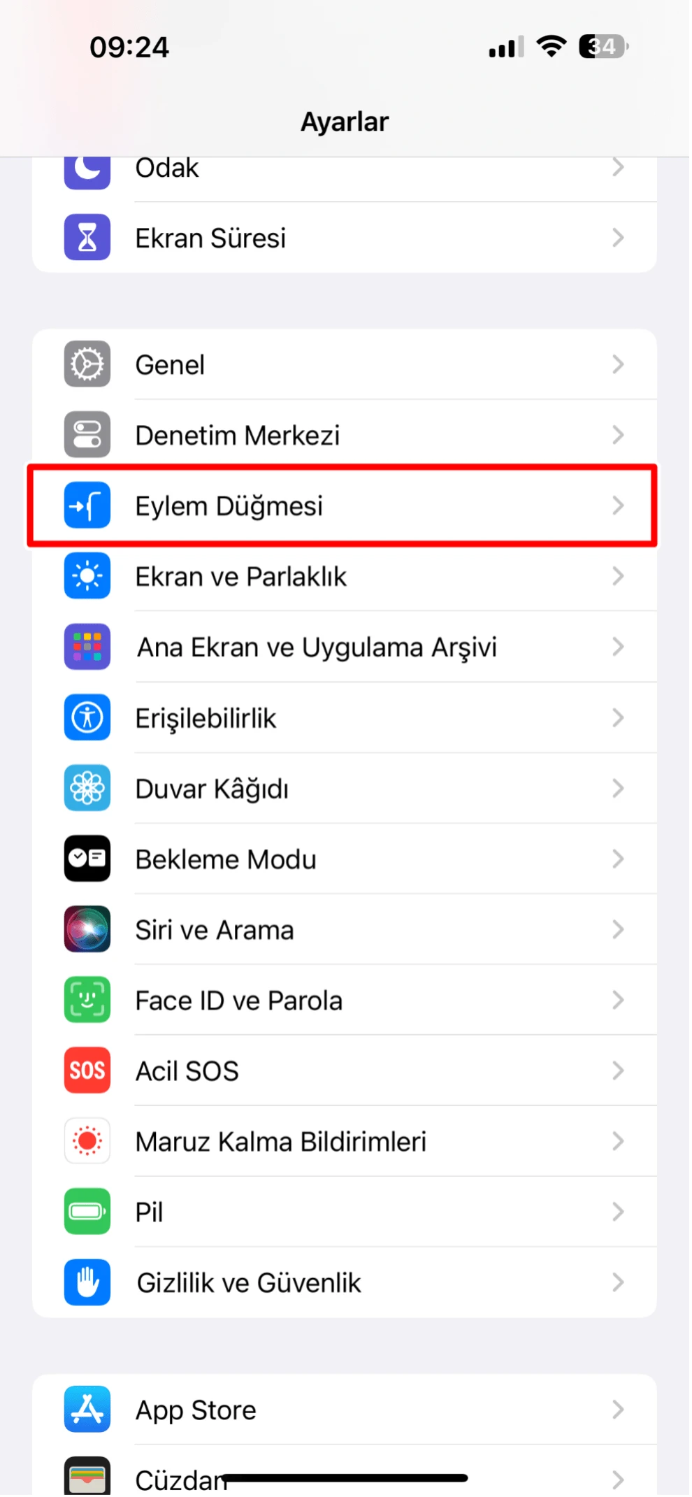 eylem düğmesi