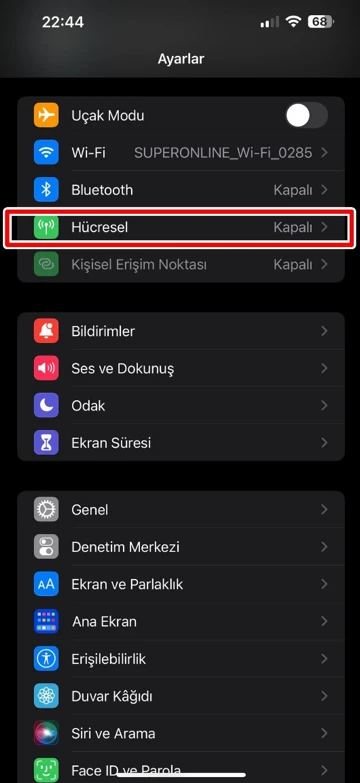 iPhone Nasıl Sıfırlanır?