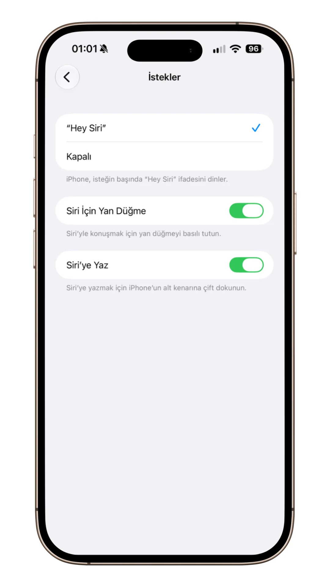 Hey Siri Kapatma Hey Siri Kapatma