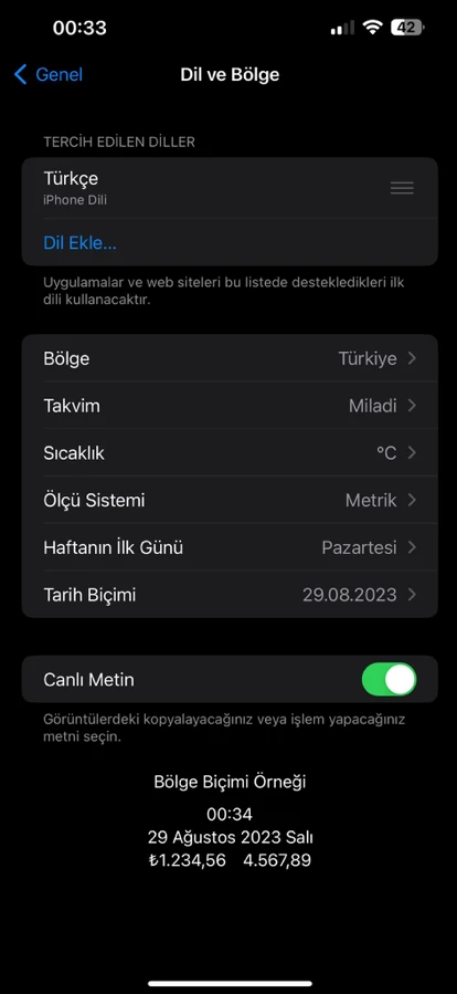 iPhone Fotoğraflardaki Metinleri Kopyalama