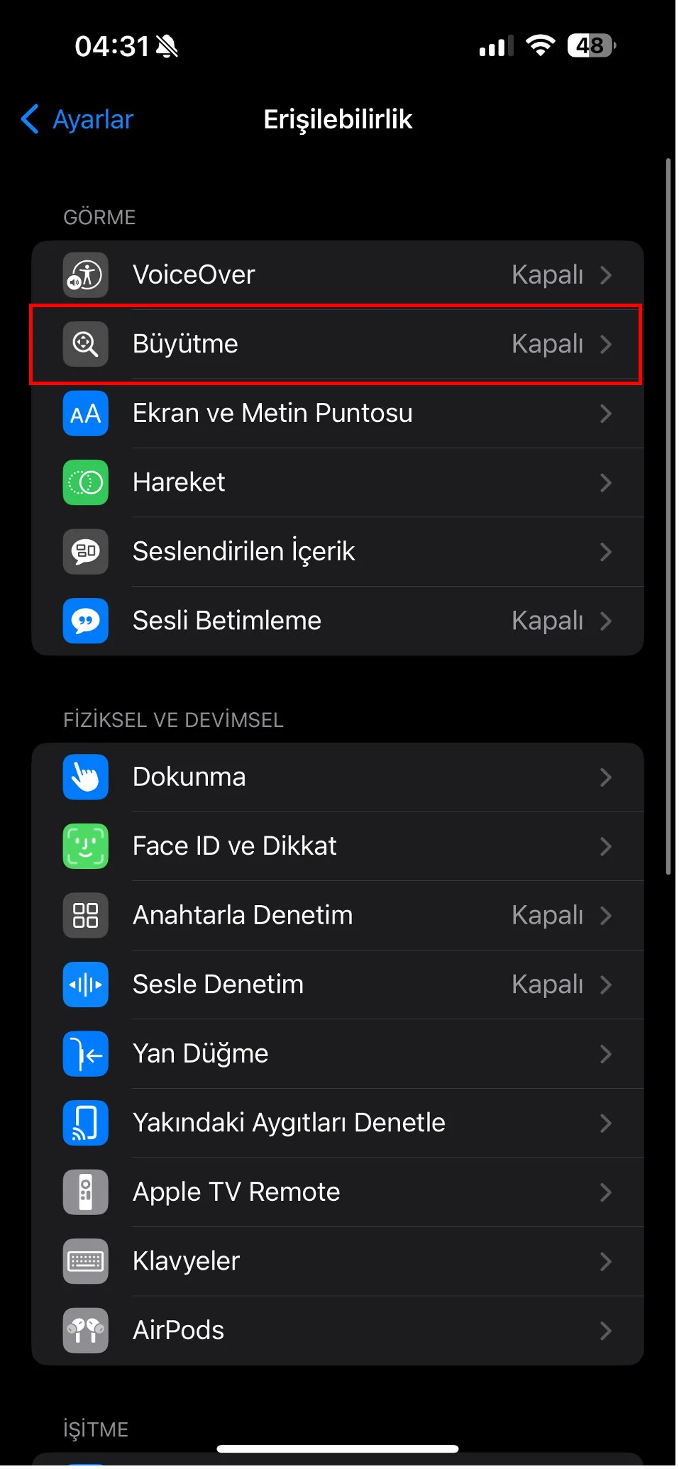 iphone ekran büyütme