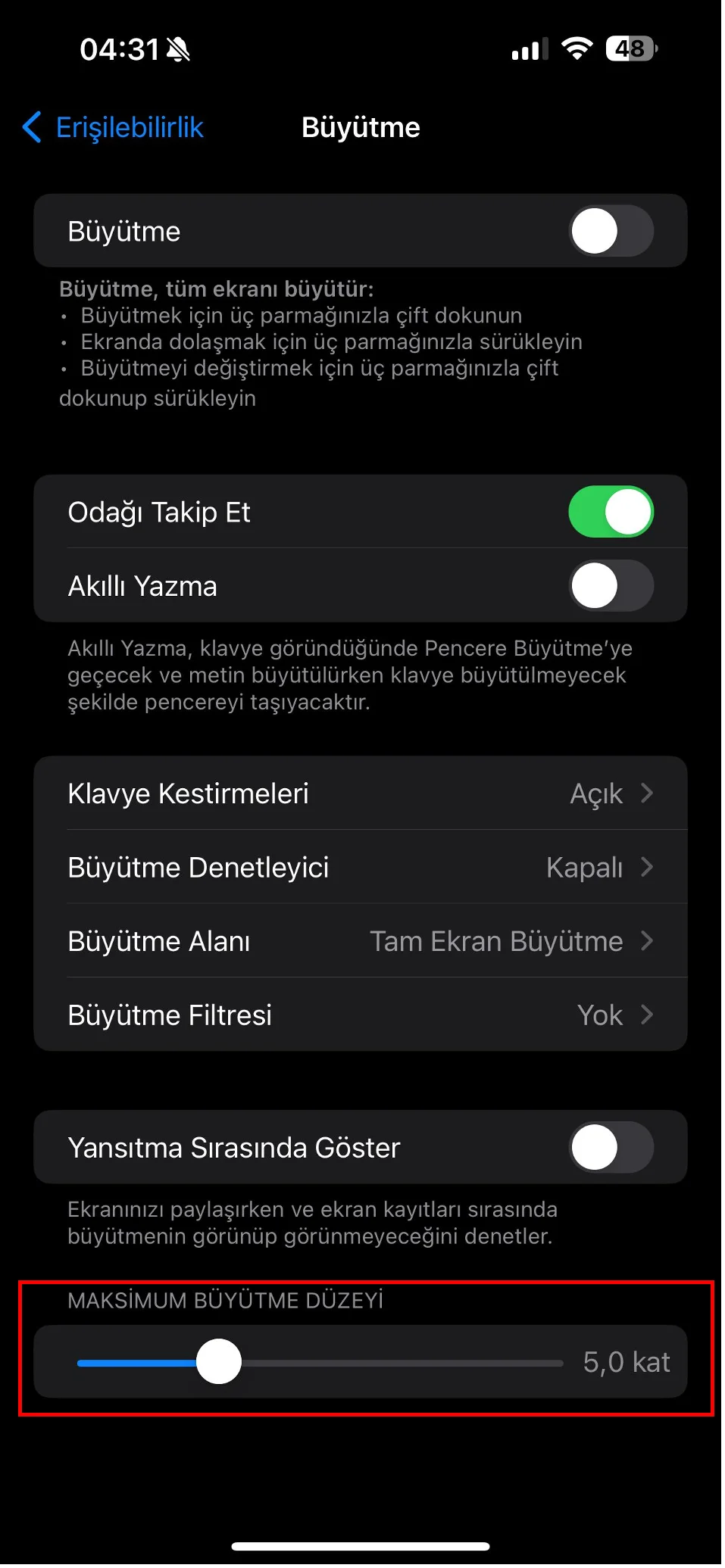 iphone ekran büyütme