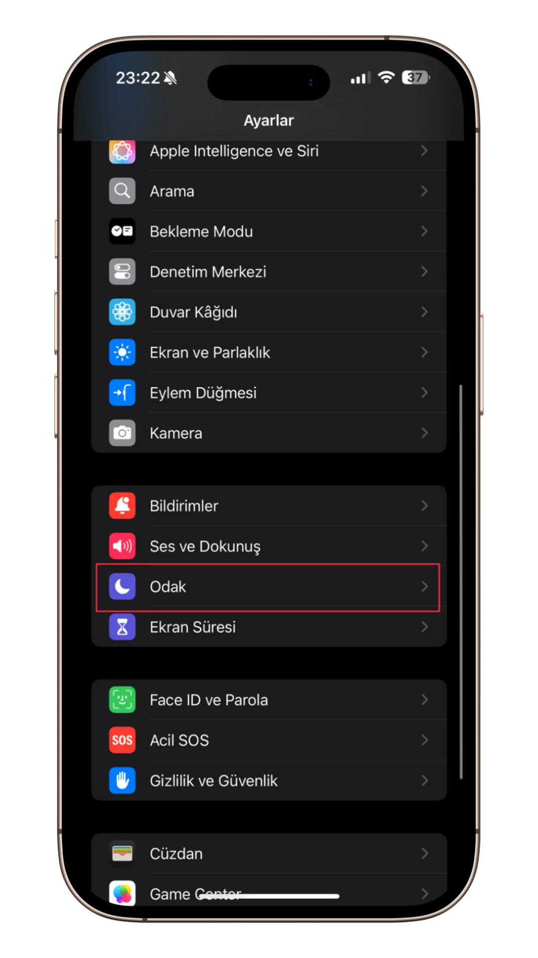odak durumu paylaşımı