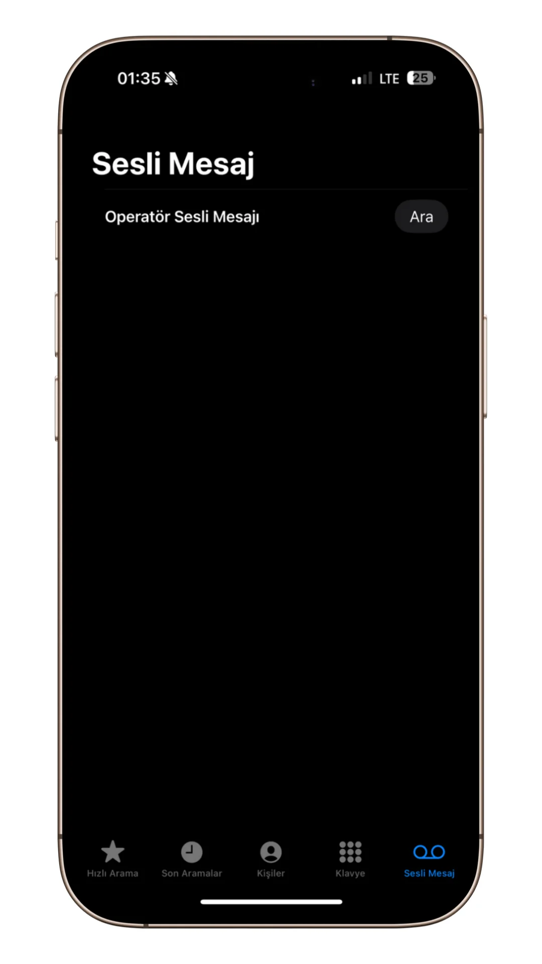 iphone sesli mesajları dinleme