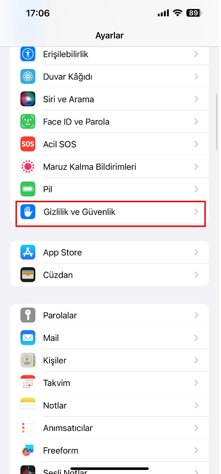 iphone ekran kararması