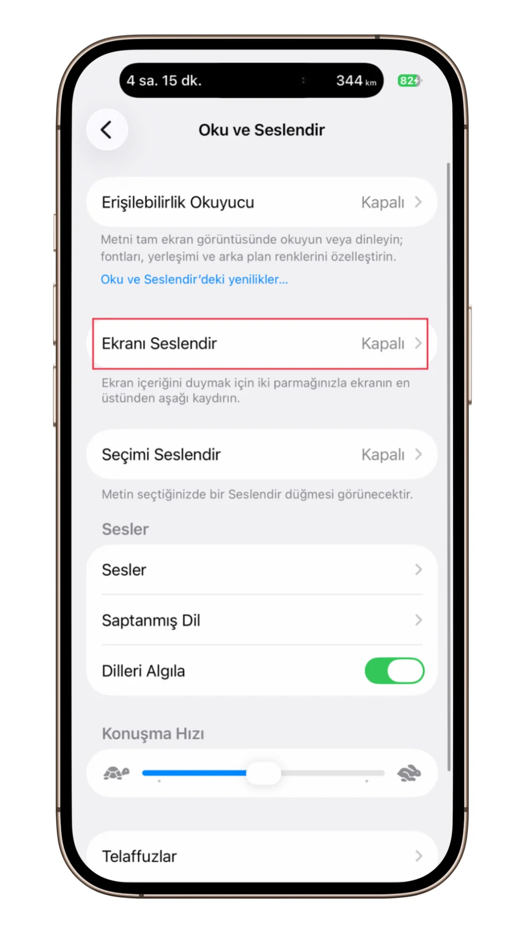 ekran seslendirme ekran seslendirme