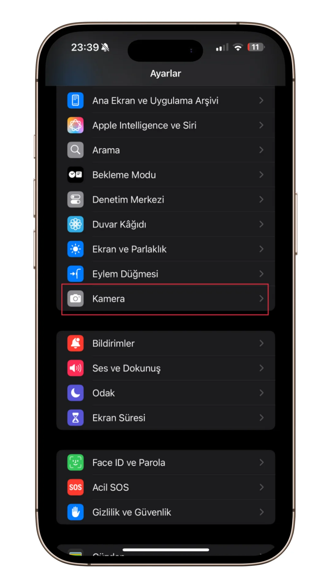 video parlaması
