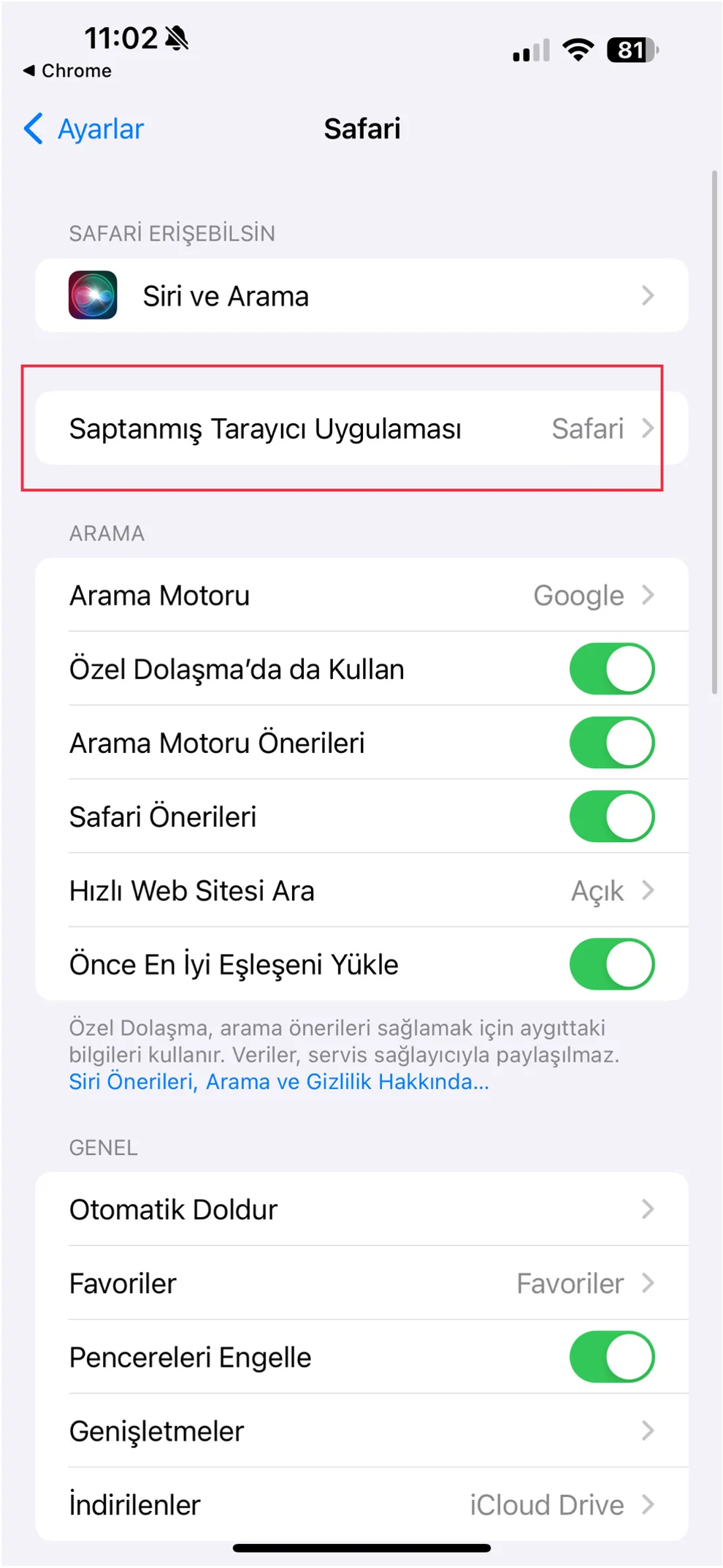 saptanmış tarayıcı değiştirme