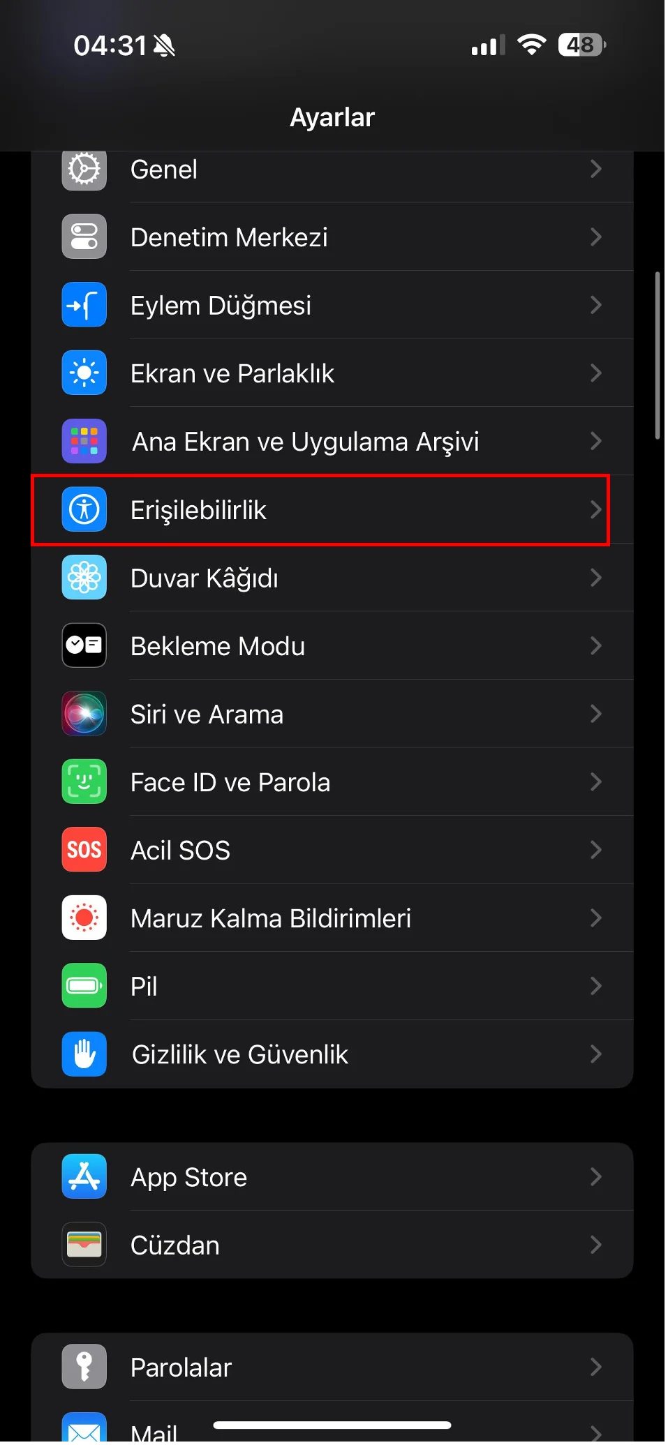 iphone ekran büyütme