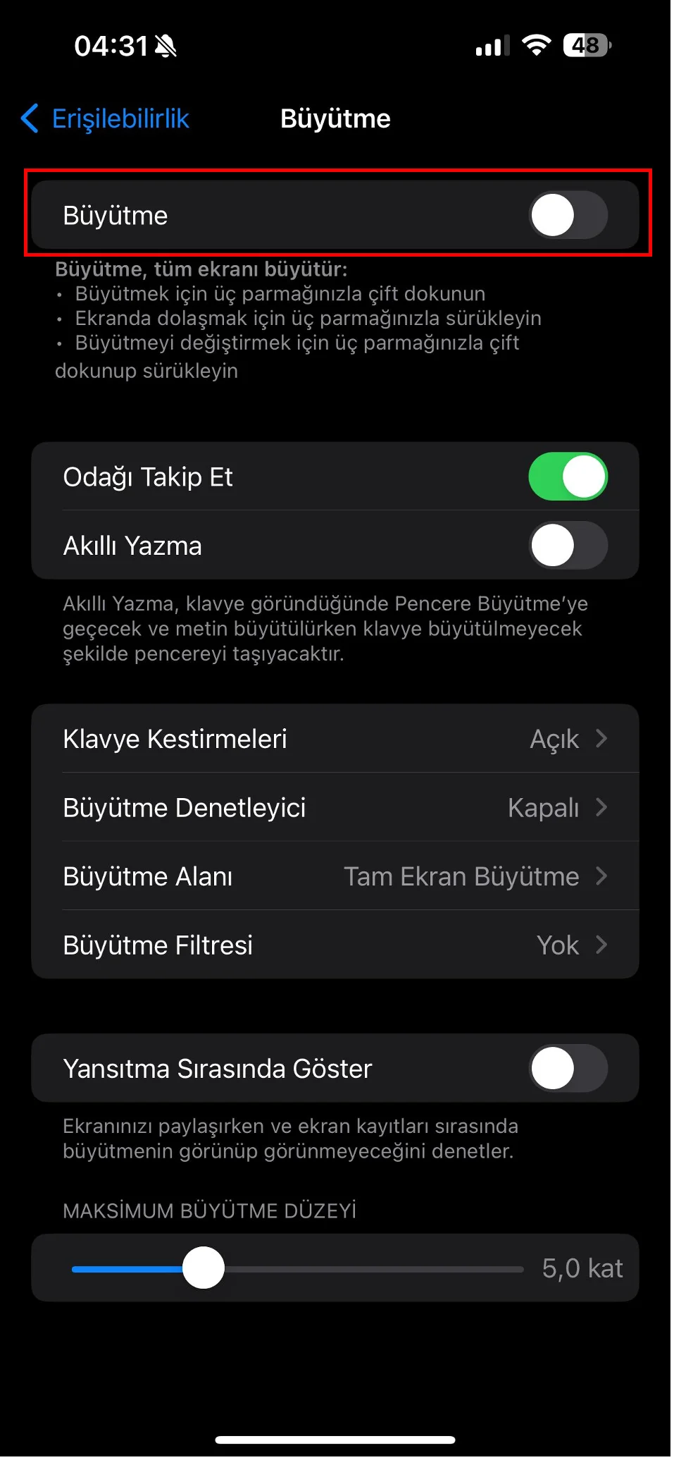 iphone ekran büyütme