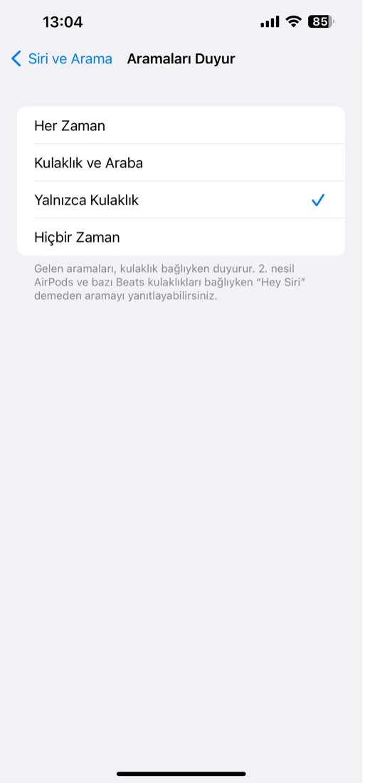 iphone arayanın ismi