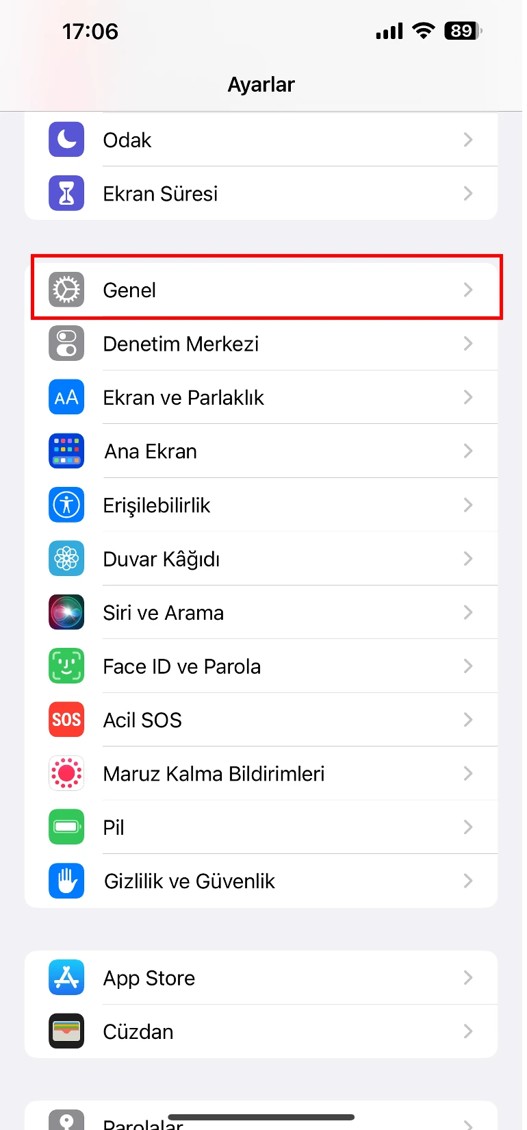 iphone ekran kararması