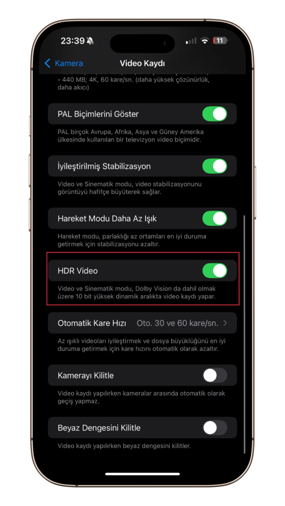 video parlaması