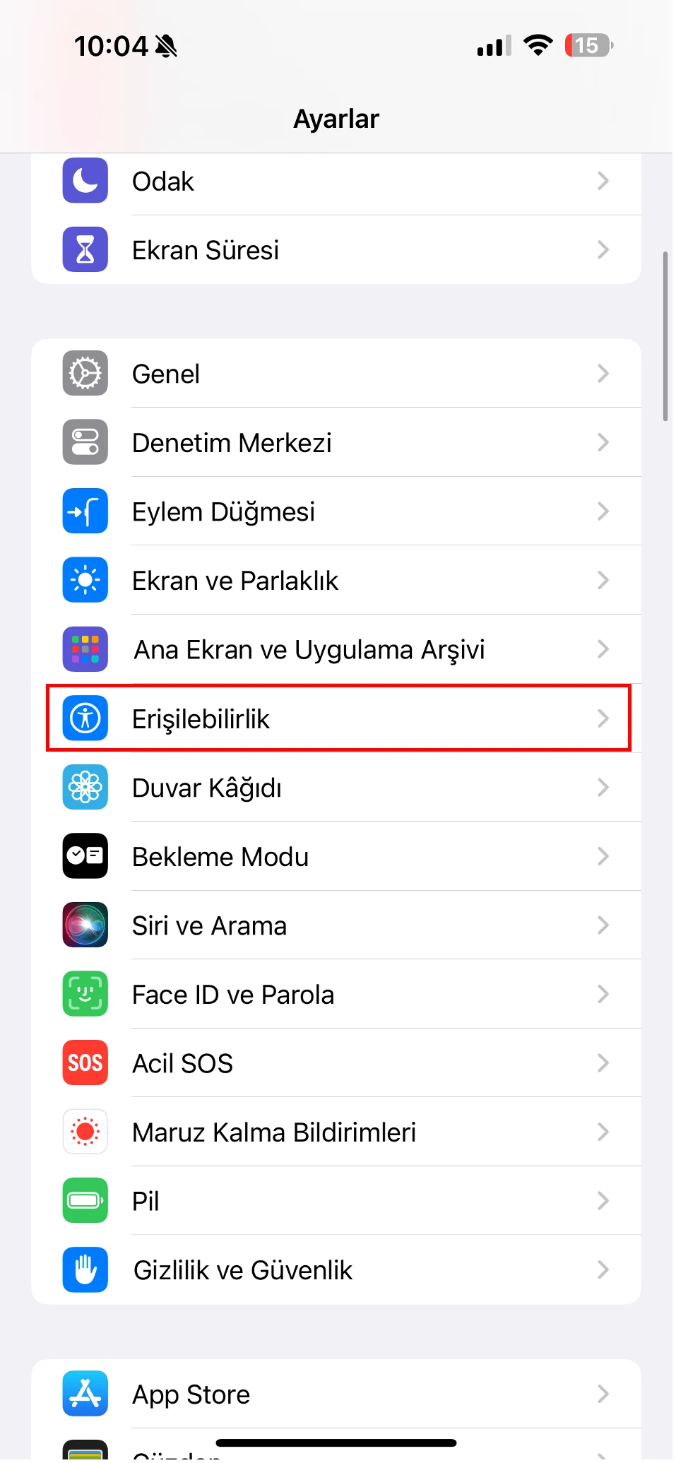 iphone sesle fotoğraf çekme