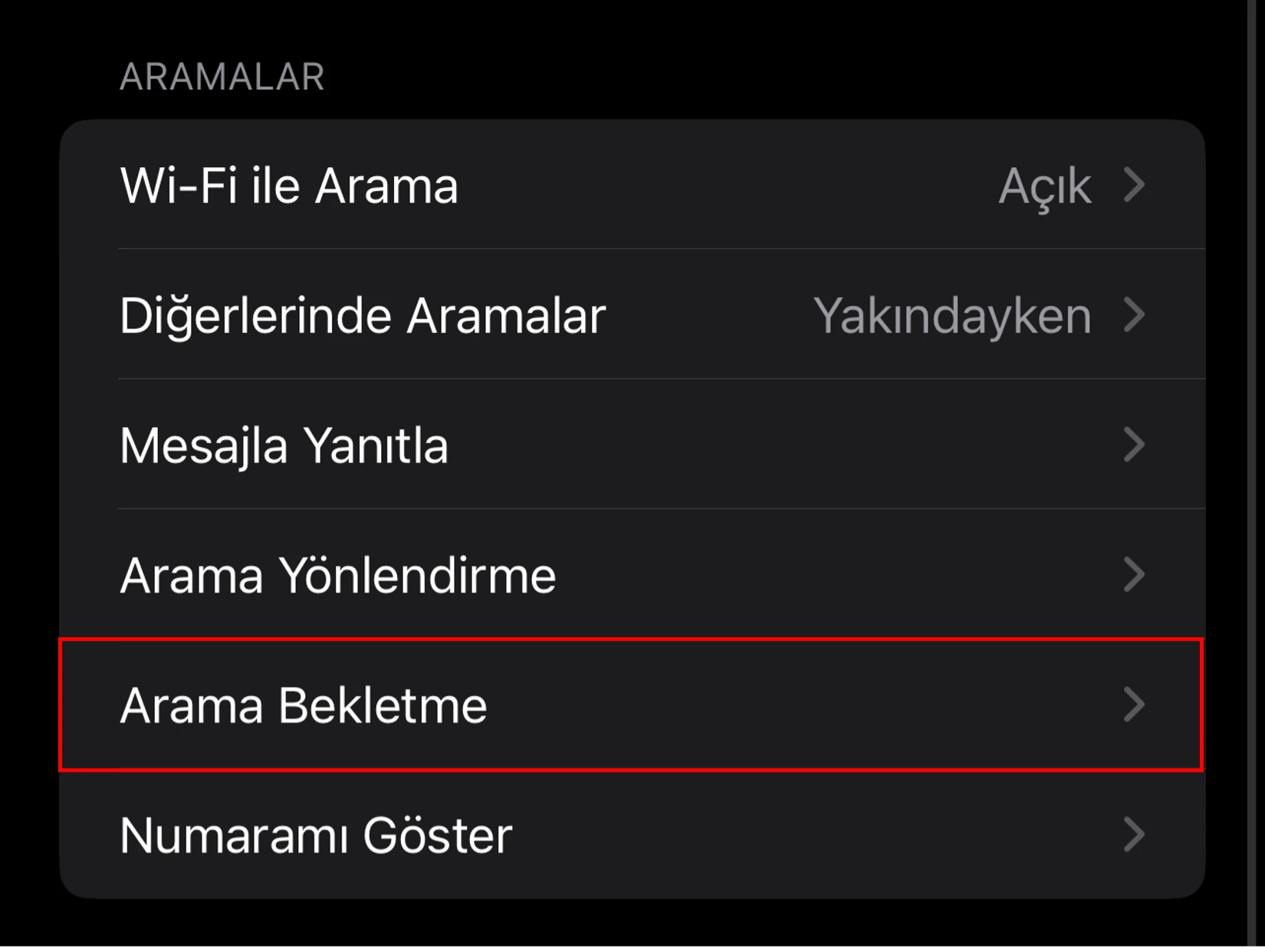 iphone arama bekletme