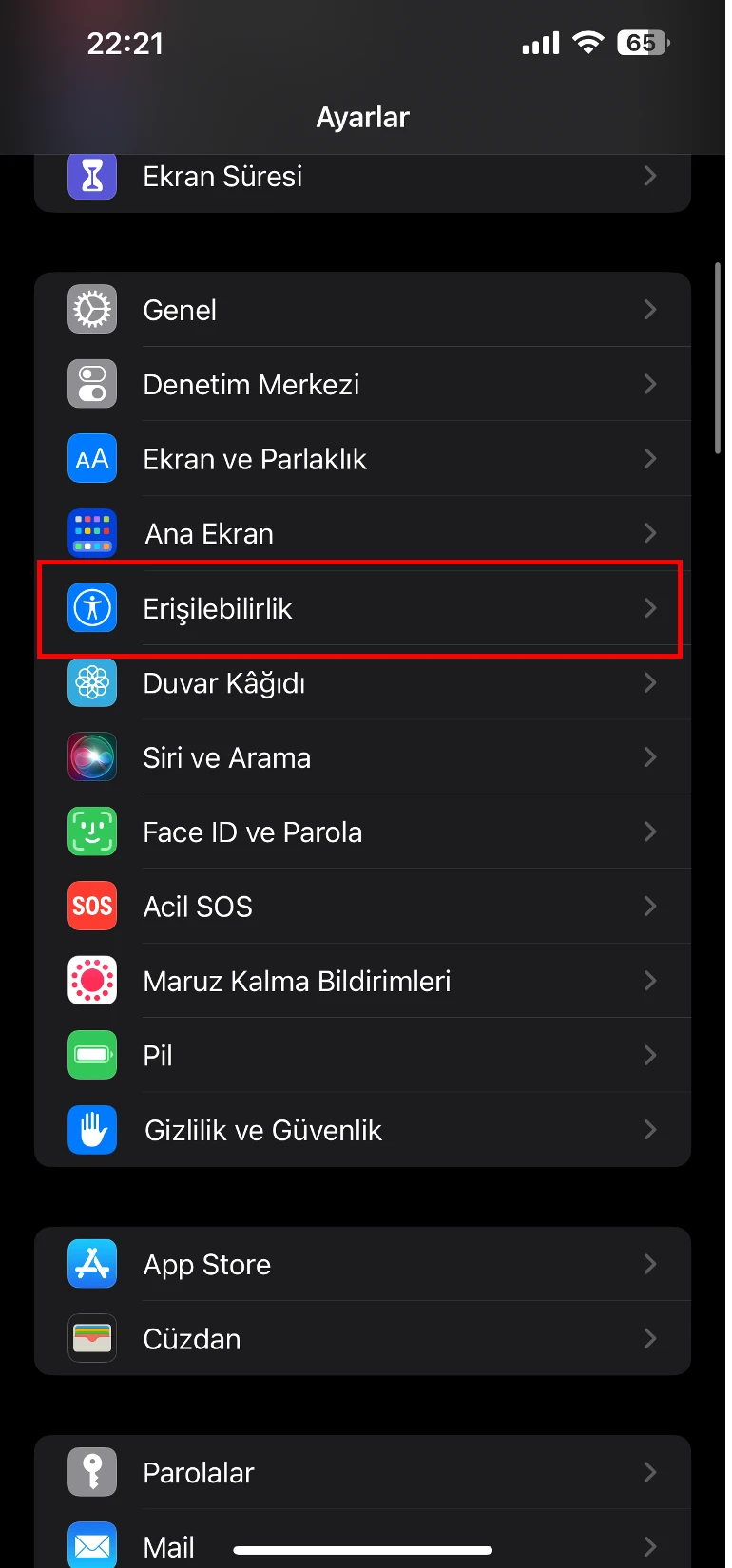 iphone denetimli erişim